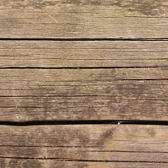 Timber defects